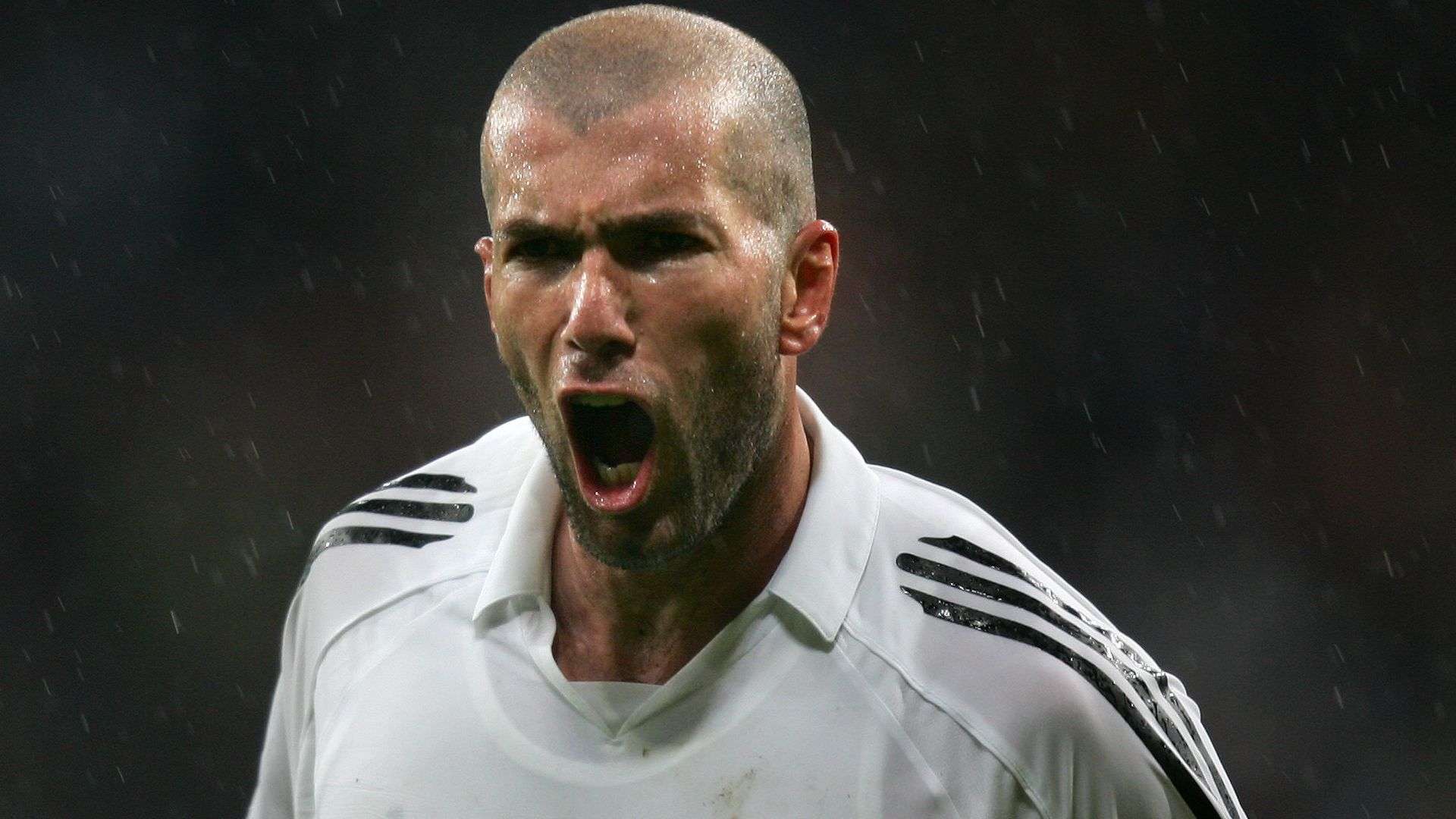 也对国内社 也对国内社