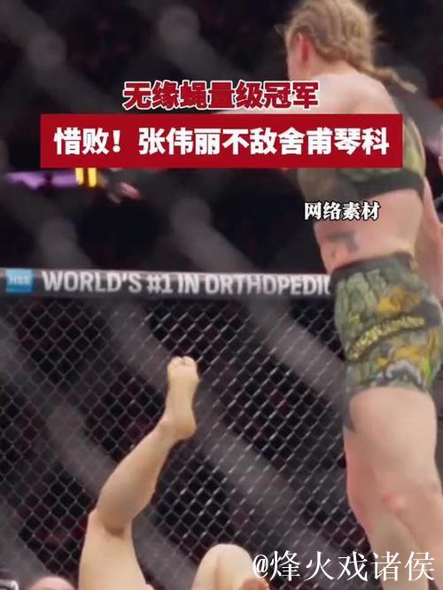 张伟丽惜败舍甫琴科 未能夺得UFC蝇量级冠军